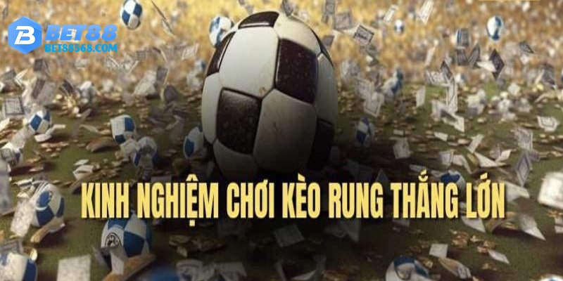 Theo dõi sát trận đấu để có tầm nhìn tốt nhất